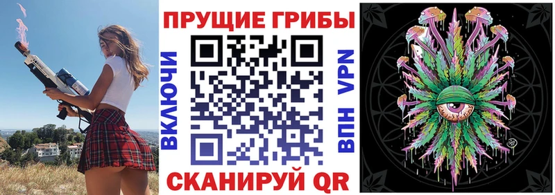 Галлюциногенные грибы Psilocybine cubensis  Алагир 